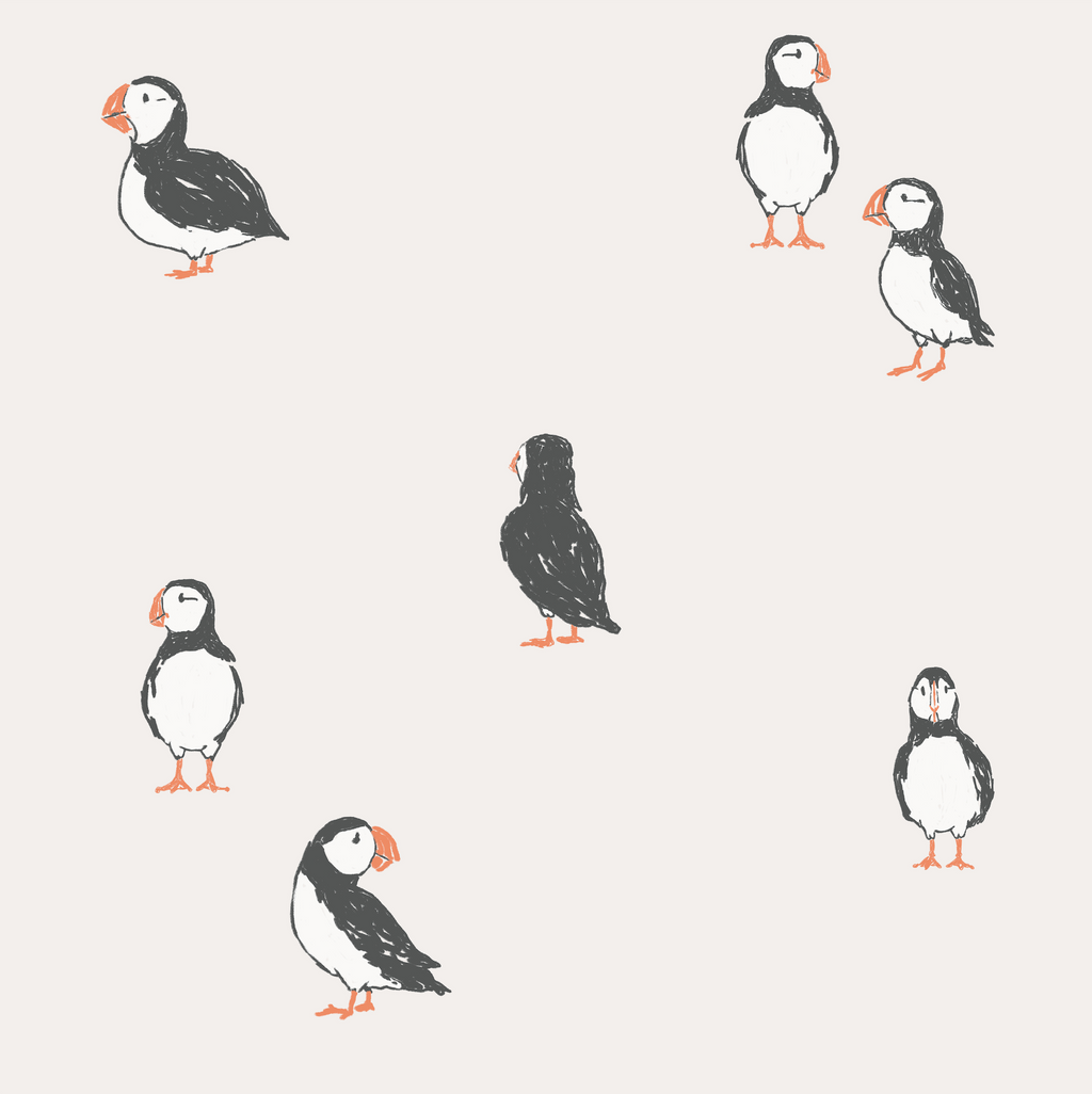 Puffin Club