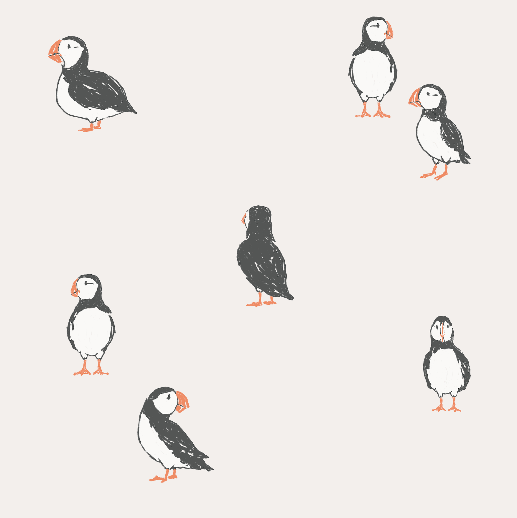 Puffin Club